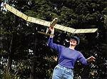 Freebird Glider Control project